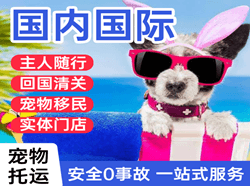 海北祁连机场空运国际宠物托运 【国